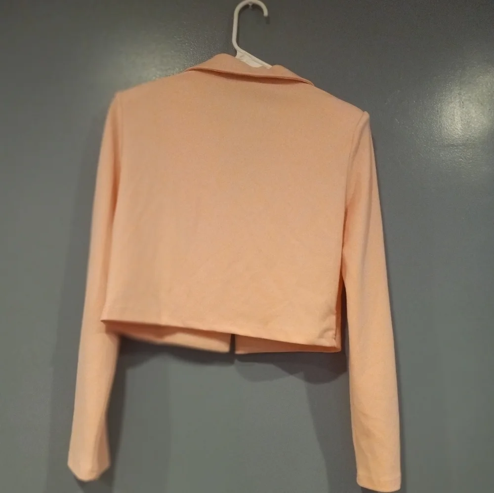 Blush Pink Blazer - Picture 3 of 3